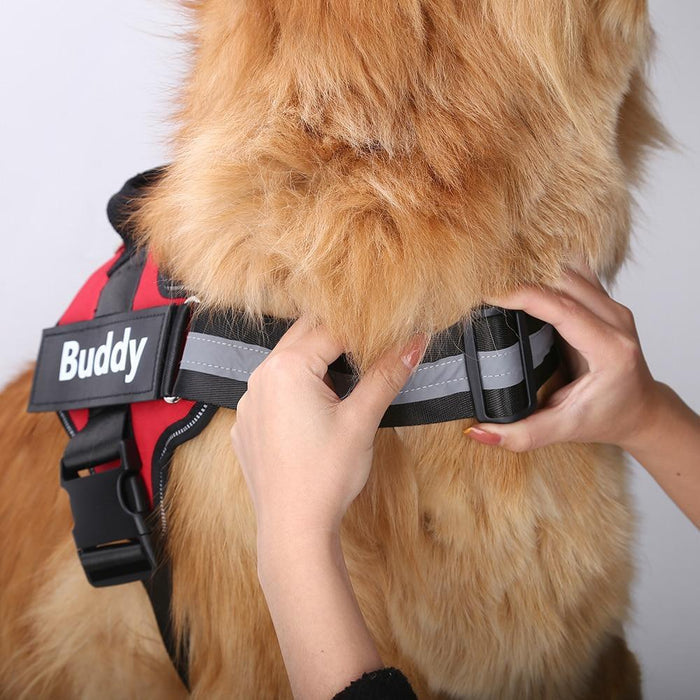 EasyHarness® - Customized No Pull Dog Harness